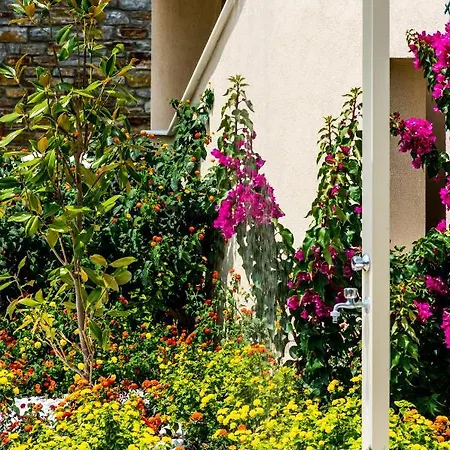 Astir Notos Hotel Potos