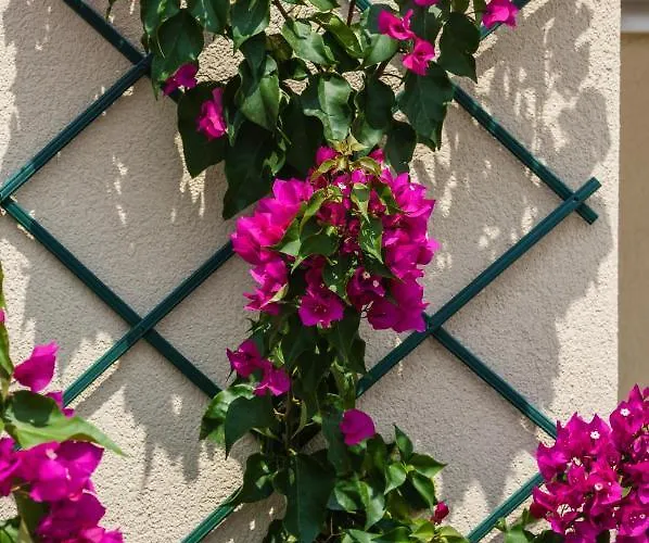 Astir Notos Ξενοδοχείο 4*