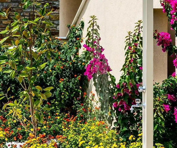 Astir Notos Ξενοδοχείο Ποτός